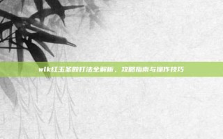 wlk红玉圣殿打法全解析，攻略指南与操作技巧