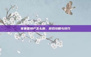 宝象国特产怎么跑，游戏攻略与技巧