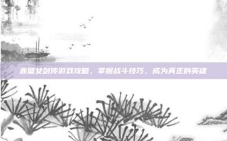 赤壁女剑传游戏攻略，掌握战斗技巧，成为真正的英雄