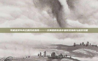 司机误将车内空调开成热风——一次典型的车内中暑防范指南与应对攻略