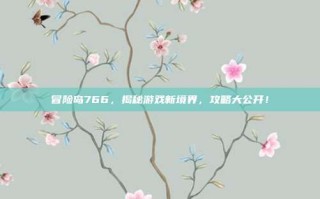 冒险岛766，揭秘游戏新境界，攻略大公开！