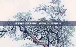 天下好兵任务全攻略，提升战力，征战四方