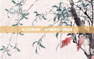 龙之谷加点器，提升角色实力的神器