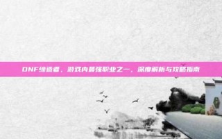 DNF缔造者，游戏内最强职业之一，深度解析与攻略指南