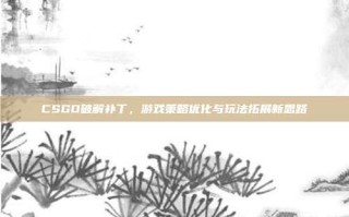 CSGO破解补丁，游戏策略优化与玩法拓展新思路