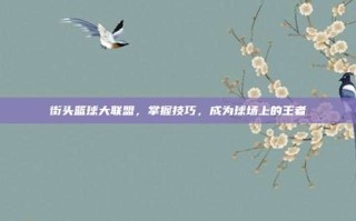 街头篮球大联盟，掌握技巧，成为球场上的王者