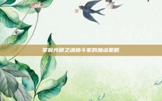 掌握光明之魂格斗家的加点策略