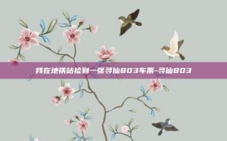 我在地铁站捡到一张寻仙803车票-寻仙803