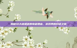 揭秘10大被遣返的奇葩理由，游戏界的归途之路