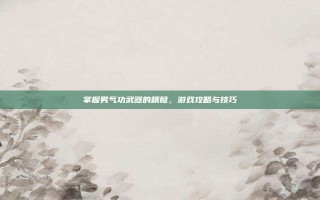 掌握男气功武器的精髓，游戏攻略与技巧