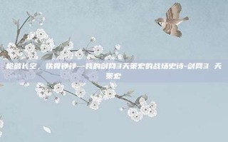 枪破长空，铁骨铮铮—我的剑网3天策宏的战场史诗-剑网3 天策宏