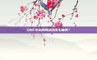 DNF幸运购物活动怎么抽奖？
