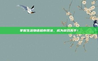 掌握生活物语超市摆法，成为游戏高手！