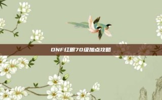 DNF红眼70级加点攻略