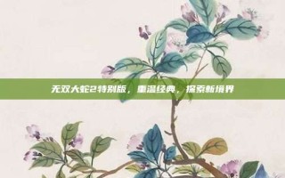 无双大蛇2特别版，重温经典，探索新境界