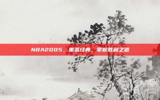 NBA2005，重温经典，掌握胜利之道