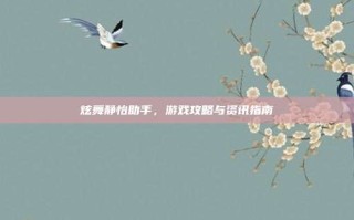 炫舞静怡助手，游戏攻略与资讯指南