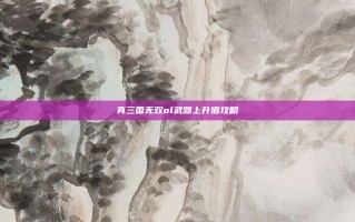 真三国无双ol武器上升值攻略