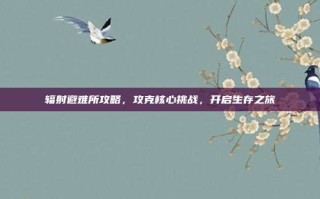 辐射避难所攻略，攻克核心挑战，开启生存之旅