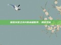 探索火炬之光2的未知世界，漂泊之旅