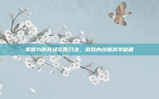 掌握九阴真经炎阳刀法，游戏内终极武学秘籍