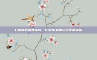 打造极致游戏体验，PUBG完美运行配置攻略