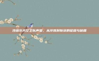 沙塔尔天空卫队声望，从淬炼到斩获的征程与秘籍