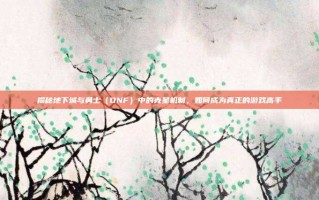 揭秘地下城与勇士（DNF）中的克星机制，如何成为真正的游戏高手