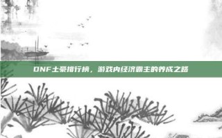 DNF土豪排行榜，游戏内经济霸主的养成之路