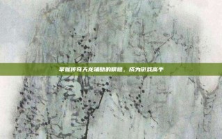 掌握传奇天龙辅助的精髓，成为游戏高手