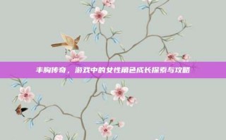丰胸传奇，游戏中的女性角色成长探索与攻略