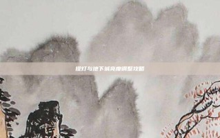 提灯与地下城亮度调整攻略