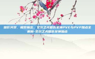 暗影突袭，极致输出，艾尔之光复仇女神PVE与PVP加点全解析-艾尔之光复仇女神加点