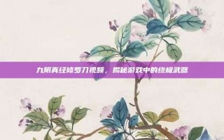 九阴真经修罗刀视频，揭秘游戏中的终极武器
