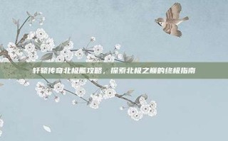 轩辕传奇北极熊攻略，探索北极之巅的终极指南