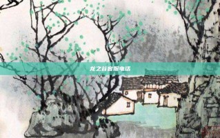 龙之谷客服电话