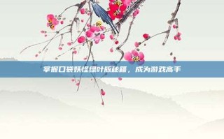 掌握口袋妖怪绿叶版秘籍，成为游戏高手