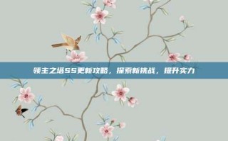 领主之塔SS更新攻略，探索新挑战，提升实力