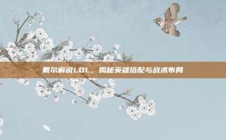 戴尔解说LOL，揭秘英雄搭配与战术布局
