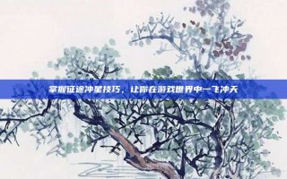 掌握征途冲星技巧，让你在游戏世界中一飞冲天