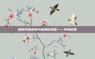 探索豹弩游侠中的神秘武器——豹弩游侠