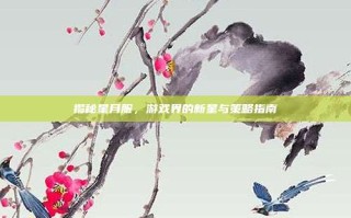 揭秘星月服，游戏界的新星与策略指南