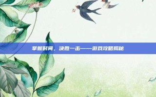 掌握时间，决胜一击——游戏攻略揭秘