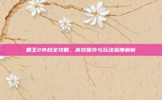霸王2存档全攻略，高效保存与玩法深度解析