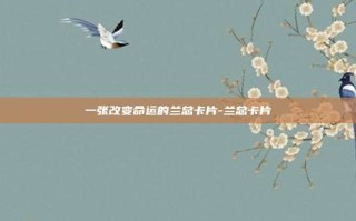 一张改变命运的兰总卡片-兰总卡片