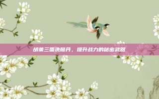 胡莱三国洗髓丹，提升战力的秘密武器
