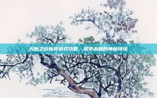 天使之谷新传游戏攻略，探索未知的神秘领域