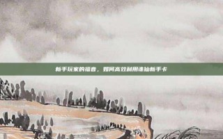 新手玩家的福音，如何高效利用诛仙新手卡