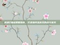 武魂2加点策略指南，打造独特且高效的战斗优势