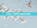 武当4内，揭秘游戏内隐藏的终极秘籍